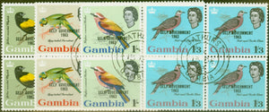 Enjoy The Gambia Experience
