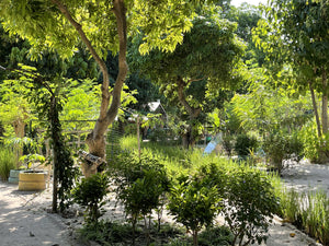 Greenery